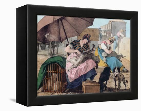 Dog Clippers on the Pont-Neuf, 1820 (Colour Litho)-John James Chalon-Framed Premier Image Canvas