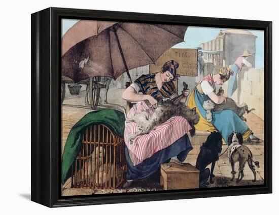 Dog Clippers on the Pont-Neuf, 1820 (Colour Litho)-John James Chalon-Framed Premier Image Canvas