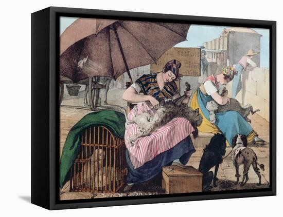 Dog Clippers on the Pont-Neuf, 1820 (Colour Litho)-John James Chalon-Framed Premier Image Canvas