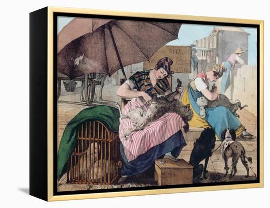 Dog Clippers on the Pont-Neuf, 1820 (Colour Litho)-John James Chalon-Framed Premier Image Canvas