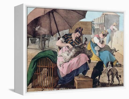 Dog Clippers on the Pont-Neuf, 1820 (Colour Litho)-John James Chalon-Framed Premier Image Canvas