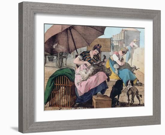 Dog Clippers on the Pont-Neuf, 1820 (Colour Litho)-John James Chalon-Framed Giclee Print