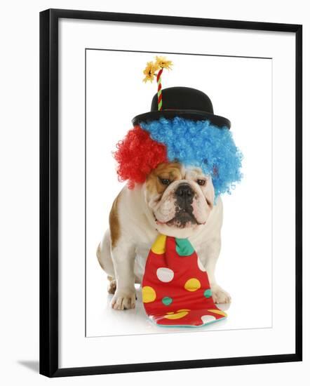 Dog Clown-Willee Cole-Framed Photographic Print