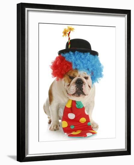 Dog Clown-Willee Cole-Framed Photographic Print