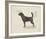 Dog Club - Beagle-Clara Wells-Framed Giclee Print