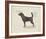 Dog Club - Beagle-Clara Wells-Framed Giclee Print