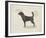 Dog Club - Beagle-Clara Wells-Framed Giclee Print