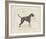 Dog Club - Boxer-Clara Wells-Framed Giclee Print