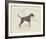 Dog Club - Boxer-Clara Wells-Framed Giclee Print