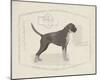 Dog Club - Boxer-Clara Wells-Mounted Giclee Print
