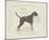 Dog Club - Boxer-Clara Wells-Mounted Giclee Print