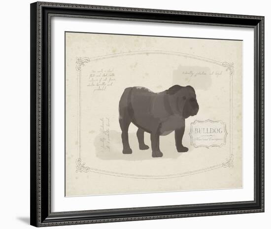 Dog Club - Bulldog-Clara Wells-Framed Giclee Print