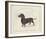 Dog Club - Dachshund-Clara Wells-Framed Giclee Print