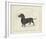 Dog Club - Dachshund-Clara Wells-Framed Giclee Print