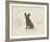 Dog Club - French Bulldog-Clara Wells-Framed Giclee Print