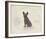 Dog Club - French Bulldog-Clara Wells-Framed Giclee Print