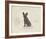 Dog Club - French Bulldog-Clara Wells-Framed Giclee Print