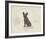 Dog Club - French Bulldog-Clara Wells-Framed Giclee Print