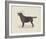 Dog Club - Labrador-Clara Wells-Framed Giclee Print