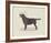 Dog Club - Labrador-Clara Wells-Framed Giclee Print