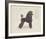 Dog Club - Poodle-Clara Wells-Framed Giclee Print