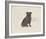 Dog Club - Pug-Clara Wells-Framed Giclee Print