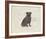 Dog Club - Pug-Clara Wells-Framed Giclee Print