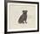 Dog Club - Pug-Clara Wells-Framed Giclee Print