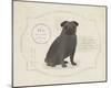 Dog Club - Pug-Clara Wells-Mounted Giclee Print