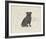 Dog Club - Pug-Clara Wells-Framed Giclee Print