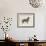 Dog Club - Retriever-Clara Wells-Framed Giclee Print displayed on a wall