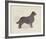 Dog Club - Retriever-Clara Wells-Framed Giclee Print