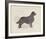 Dog Club - Retriever-Clara Wells-Framed Giclee Print