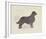 Dog Club - Retriever-Clara Wells-Framed Giclee Print