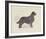 Dog Club - Retriever-Clara Wells-Framed Giclee Print