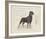 Dog Club - Rottweiler-Clara Wells-Framed Giclee Print