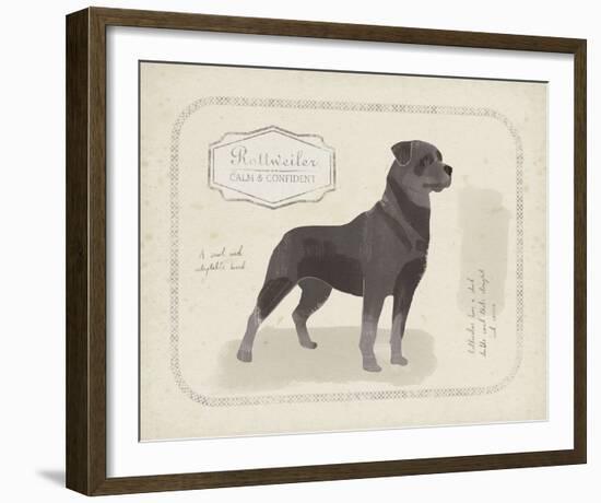 Dog Club - Rottweiler-Clara Wells-Framed Giclee Print