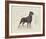 Dog Club - Rottweiler-Clara Wells-Framed Giclee Print