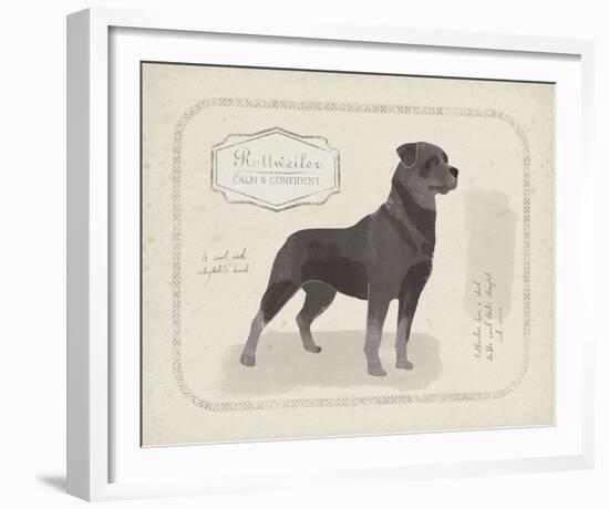 Dog Club - Rottweiler-Clara Wells-Framed Giclee Print