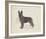 Dog Club - Shepherd-Clara Wells-Framed Giclee Print