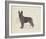 Dog Club - Shepherd-Clara Wells-Framed Giclee Print