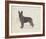 Dog Club - Shepherd-Clara Wells-Framed Giclee Print