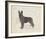 Dog Club - Shepherd-Clara Wells-Framed Giclee Print