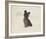 Dog Club - Terrier-Clara Wells-Framed Giclee Print