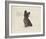 Dog Club - Terrier-Clara Wells-Framed Giclee Print