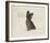 Dog Club - Terrier-Clara Wells-Framed Giclee Print