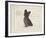 Dog Club - Terrier-Clara Wells-Framed Giclee Print