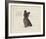 Dog Club - Terrier-Clara Wells-Framed Giclee Print