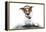 Dog Computer Pc Tablet-Javier Brosch-Framed Premier Image Canvas