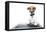 Dog Computer Pc Tablet-Javier Brosch-Framed Premier Image Canvas